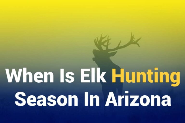 When Is Elk Hunting Season in Arizona