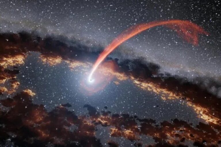 What Lies at the Center of a Black Hole