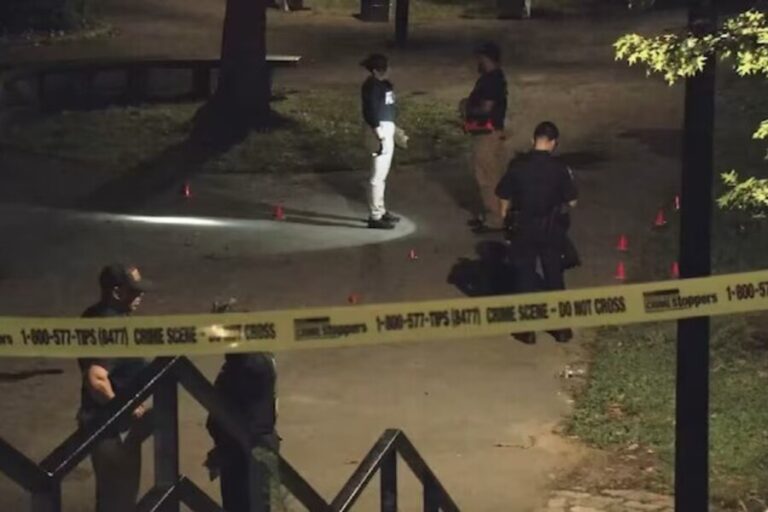 Multiple Gunmen Open Fire at Bronx Park Basketball Event